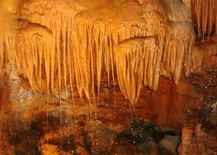 Charming House In With Mountain View Holiday home